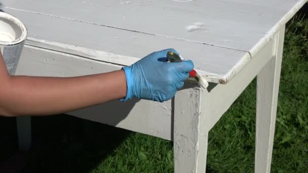 Peinture Vieux Jardin Blanc Table Bois Dans Cour Été — Video