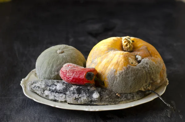 Various Rotten Vegetables White Ceramic Plate — Stock Photo, Image