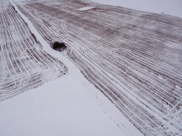 Ozimá Pšenice Strniště Zemědělství Sněhem Letecký Pohled — Stock fotografie