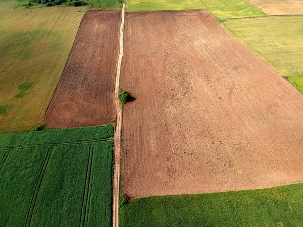 Campos Agrícolas Verão Vista Aérea Drone — Fotografia de Stock