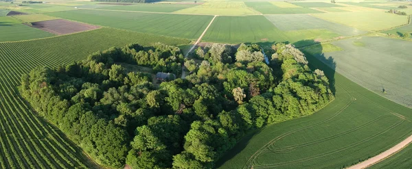 Güzel bahar tarım arazileri yeşil alanlar ve homestead Grove, havadan görünümü