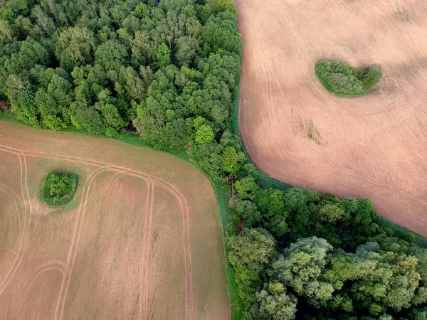 Landwirtschaftlicher Betrieb Bewirtschaftete Felder Und Wälder Frühjahr Luftaufnahme — Stockfoto