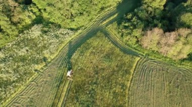Çiftlik traktör haymaking kesilmiş çimen yaz, havadan görünümü