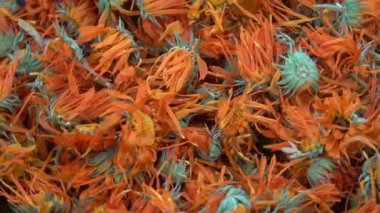 Kurumuş kadife çiçekleri, tıbbi çiçek arkaplanı.