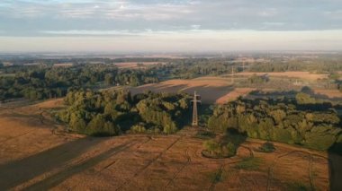 Tarım arazisi olgunlaşmış yaz mevsimi. Sabahları kolza tohumu tarlaları, hava manzarası.