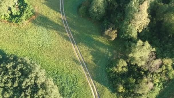 Summer Farmland Meadow Rural Road Aerial View — Stock Video