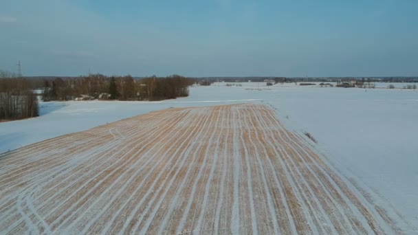 Kış Buğday Anız Tarım Alanı Ile Kar Havadan Görünümü — Stok video