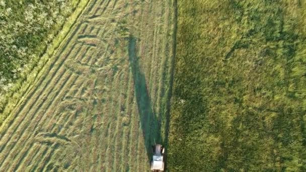 Vieux petit tracteur le matin taillage fauchage foin herbe sur prairie, vue aérienne 
