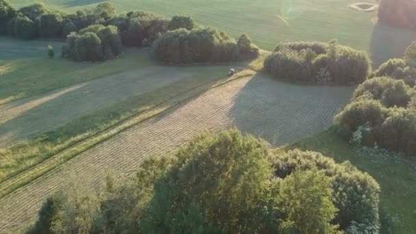 Rolnictwo Ciągnik Siano Cięcia Trawy Siana Godzinach Wieczornych Anteny — Wideo stockowe