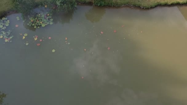 Vana Teplé Vody Poblíž Dřevěné Lázně Rybník Letecký Pohled — Stock video