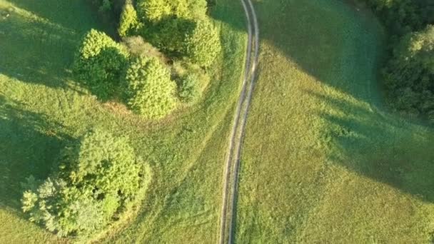 Midsummer Meadow Groves Rural Road Aerial View — Stock Video