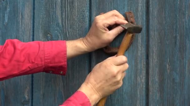 Hämmern Alte Rostige Hufeisen Mit Hammer Auf Blaue Holztür — Stockvideo