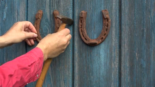 农民园丁锤击挂在蓝色木门上的第二个老锈迹斑斑的马蹄铁 — 图库视频影像