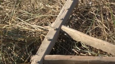 Eski tarihi ahşap saman komisyon om yaz çayır