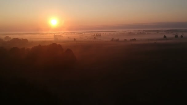 Hermoso Final Verano Amanecer Niebla Temprano Mañana Paisaje Tierras Cultivo — Vídeo de stock