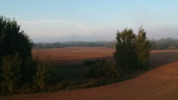 Plowed Cultivated Farmland Sunrise Time Fields Morning Mist Aerial View — Stock Video