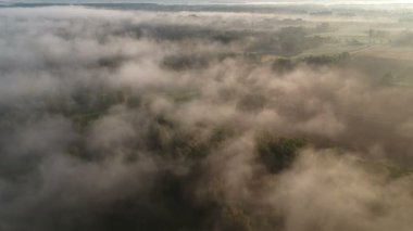 Sis bulutları tarlaların ve korulukların üzerinde hareket eder, gün doğumu zamanı, hava manzarası