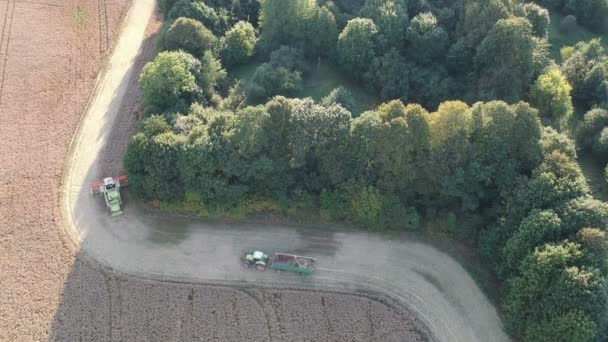 森林附近联合收割机收获菜籽 — 图库视频影像