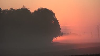 Güzel, sisli, güneşli yaz sonu manzarası.