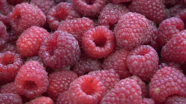 Rotierende Frische Süße Himbeeren Hintergrund — Stockvideo