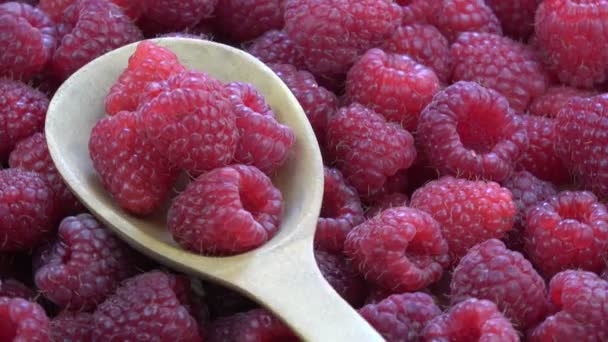 Rotierende Holzlöffel Auf Frischen Süßen Himbeeren Hintergrund — Stockvideo