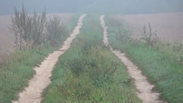 Carretera Grava Vacía Brumosa Tierras Cultivo Campos Cosechados Fin Verano — Vídeo de stock