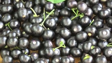 Siyah itüzümü Solanum nigrum böğürtlenleri