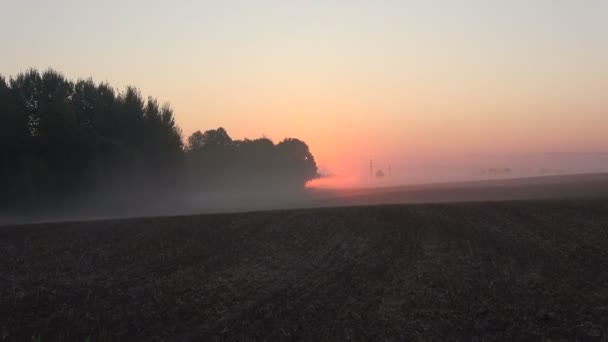 Beautiful Misty Foggy Sunrise Summer End Farmland Landscape Grove — ストック動画