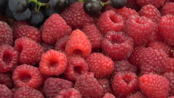 Rotierende Frische Himbeeren Und Trauben Lebensmittel Hintergrund — Stockvideo