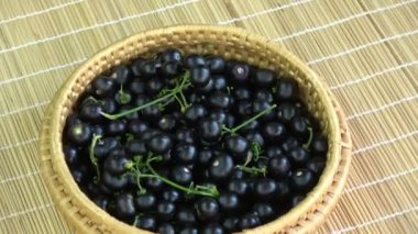 Siyah itüzümü Solanum nigrum böğürtleniyle dönen hasır sepet tabağı