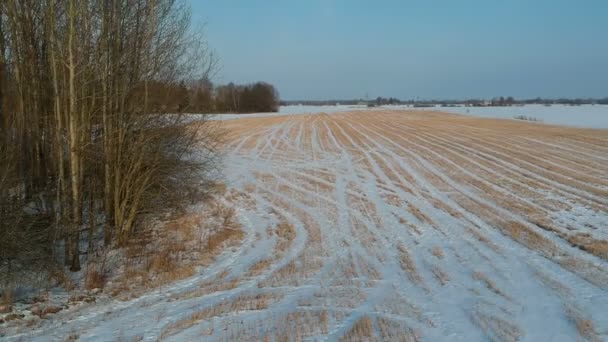 Mitten Winter Landwirtschaftliche Feld Mit Getreidestoppeln Luftaufnahme — Stockvideo