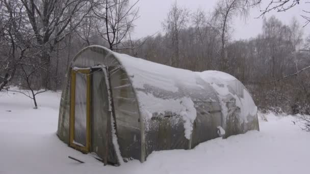 Снег Падает Старую Примитивную Пластмассовую Теплицу Зимней Ферме — стоковое видео