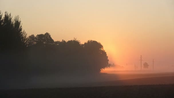 農地での美しい夏の終わりの日の出と霧 時間の経過 — ストック動画