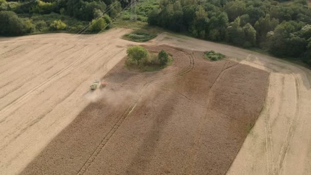 Combine Harvester Harvesting Rapeseed Farmland Aerial View — 비디오