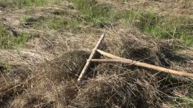 Ahşap, eski, ilkel el yapımı, kuru samanların üzerinde tırmık aracı.