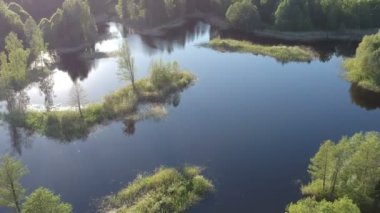 Güzel göl manzarası ve sahil ormanı, hava manzarası