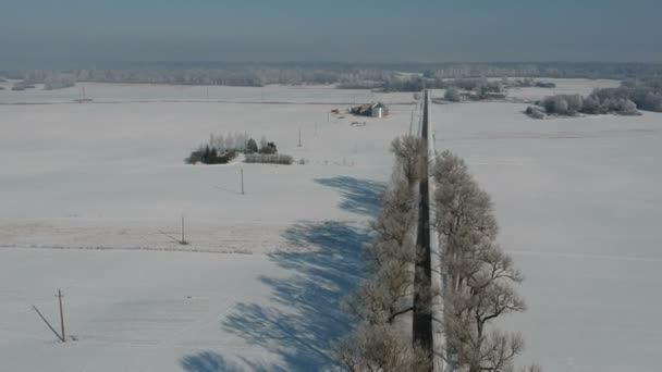 Estrada Asfalto Inverno Terras Agrícolas Com Árvore Velha Beco Vista — Vídeo de Stock