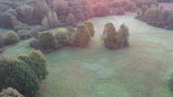 Dron Vzlétá Nad Mlhavou Letní Krajinu Lesem Stromy Hájem Loukou — Stock video