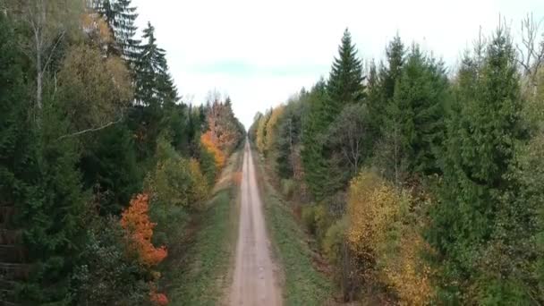 秋の森と砂利道 空撮の上を飛ぶをドローンします — ストック動画