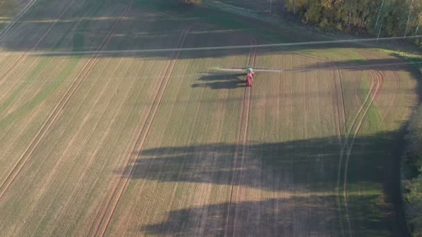 Boerderijtrekker Avonds Sproeien Herfst Gewas Veld Met Spruiten Bovenaanzicht — Stockvideo