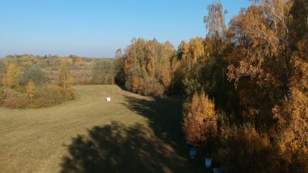 Drone Volar Por Encima Del Prado Otoño Con Rollos Heno — Vídeos de Stock