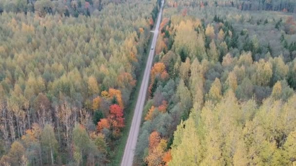 Bella Foresta Autunnale Con Strada Sterrata Auto Vista Aerea — Video Stock