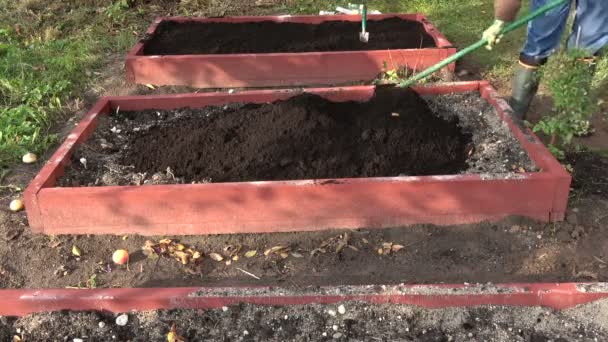 Gardener Woman Raking Mould New Wooden Raised Garden Bed — Stock Video