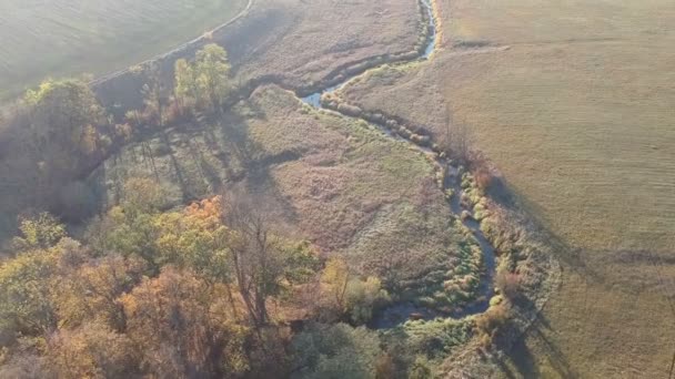 Pequeño Hermoso Río Otoño Parque Natural Vista Aérea — Vídeos de Stock