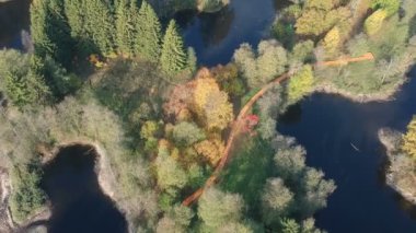 Doğa park peyzaj göl, orman ve ahşap yolu, havadan görünümü