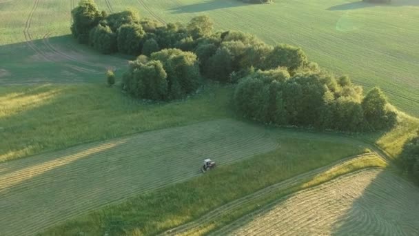 Rolnictwo Traktor Wyciąć Zbioru Siana Lato Wieczór Łąka Widok Lotu — Wideo stockowe