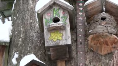 Karlı kuşlar yuvalama kutuları koleksiyonu kış Park'taki eski ağaç üzerinde