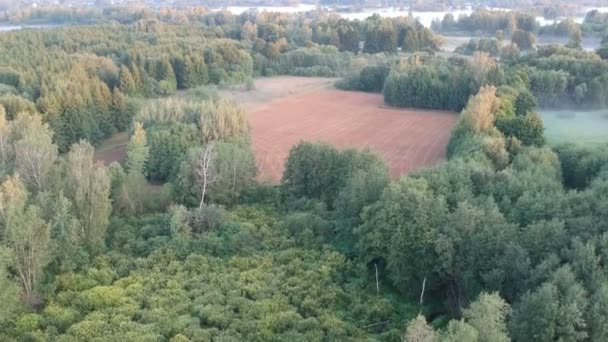 Πρόωρη Φθινοπωρινό Τοπίο Δάση Όργωσε Πεδίο Και Πρωινή Ομίχλη Αεροφωτογραφία — Αρχείο Βίντεο