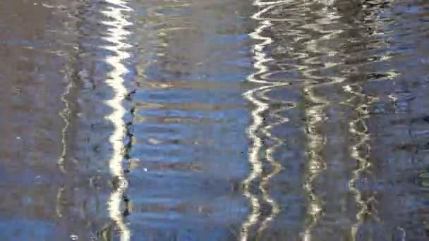 Frühling Birke Reflexionen Auf See Wasser Abstrakte Natur Video Hintergrund — Stockvideo