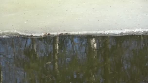 農地の小さな池に昨年春の氷と水の洪水 — ストック動画